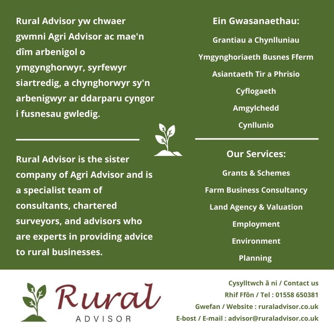 WELCOME TO RURAL ADVISOR! 
Our sister company, Agri Advisor, has grown from strength to strength since it was established 10 years ago and now marks another significant development in its history as it establishes a new company Rural Advisor. 
#RuralAdvisor #AgriAdvisorDecade