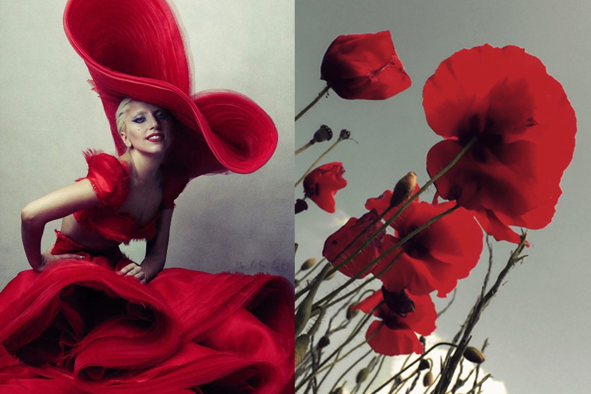 blancherie_'s tweet photo. My queen Gaga x different art forms ✨ from my fashion &amp; art blog Where I See Fashion - see more here: https://t.co/mAPUiRtO7f
https://t.co/uONk3szppw
@ladygaga @gagadaily @ladygaganownet 💖 https://t.co/2NJnBaRjS9