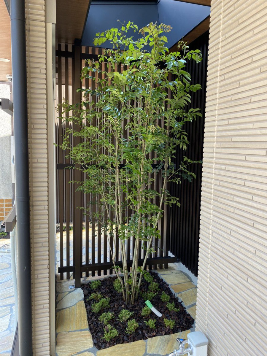 造園外構 造園外構