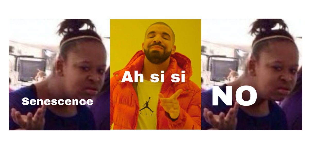 Lukasconk tweet media