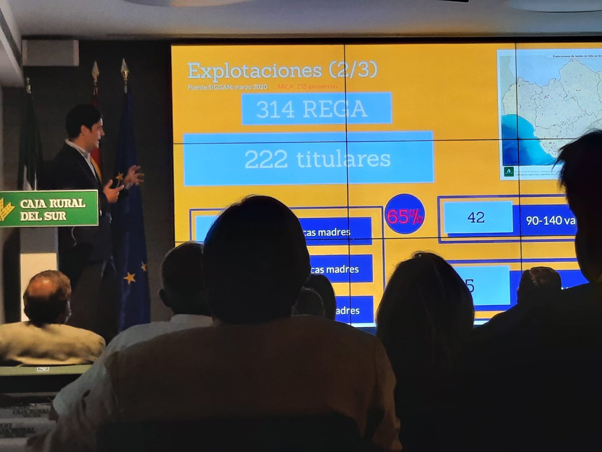 PlataformaToroBravoAndaluz tweet media