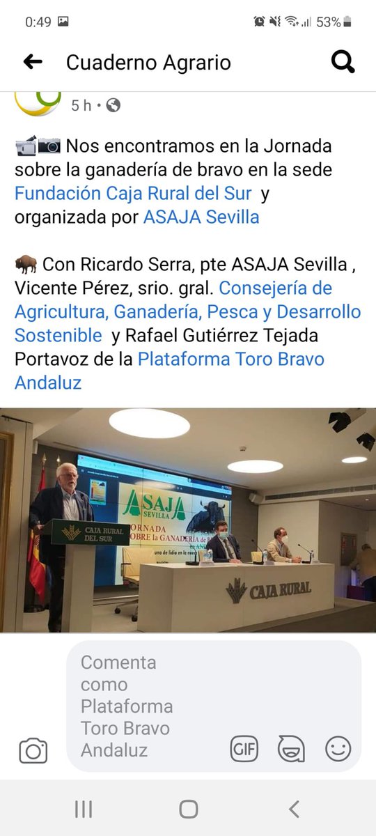 PlataformaToroBravoAndaluz tweet media
