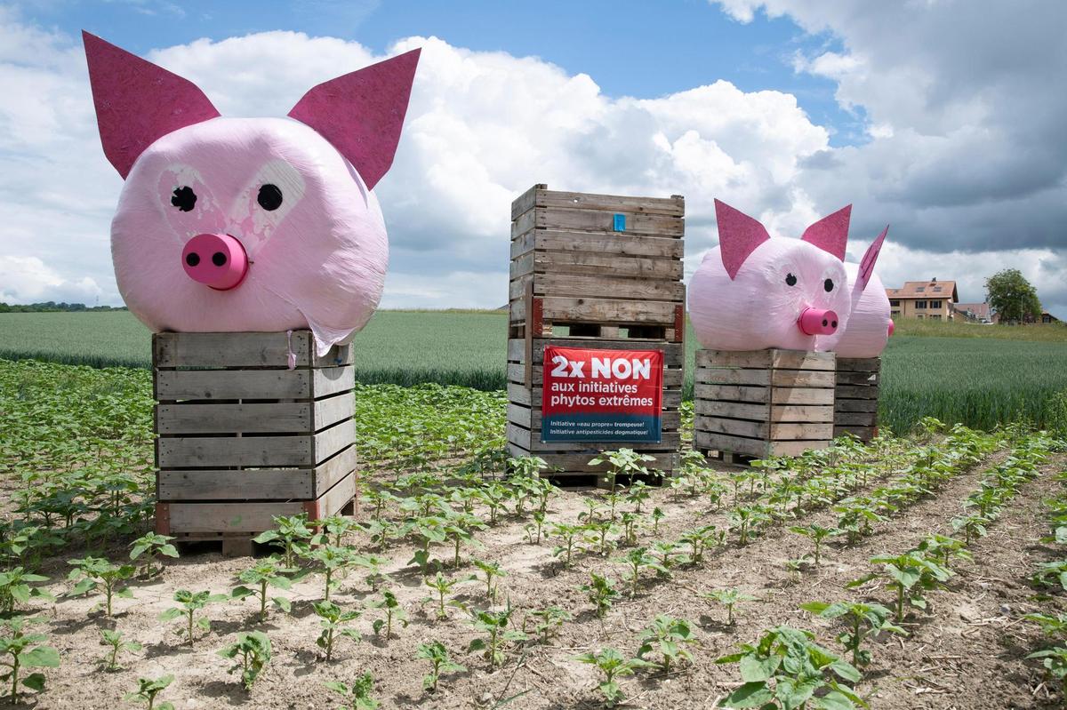 eau_propre_ch's tweet photo. Les pesticides utilisés dans l’agriculture se retrouvent dans notre eau potable. Un million de Suisses consomment de l’eau potable contaminée par des résidus de pesticides au-delà de la limite légale. Investissons dans une agriculture sans #pesticides !
https://t.co/vKHOm2BED6 https://t.co/o4VEHFjzeN