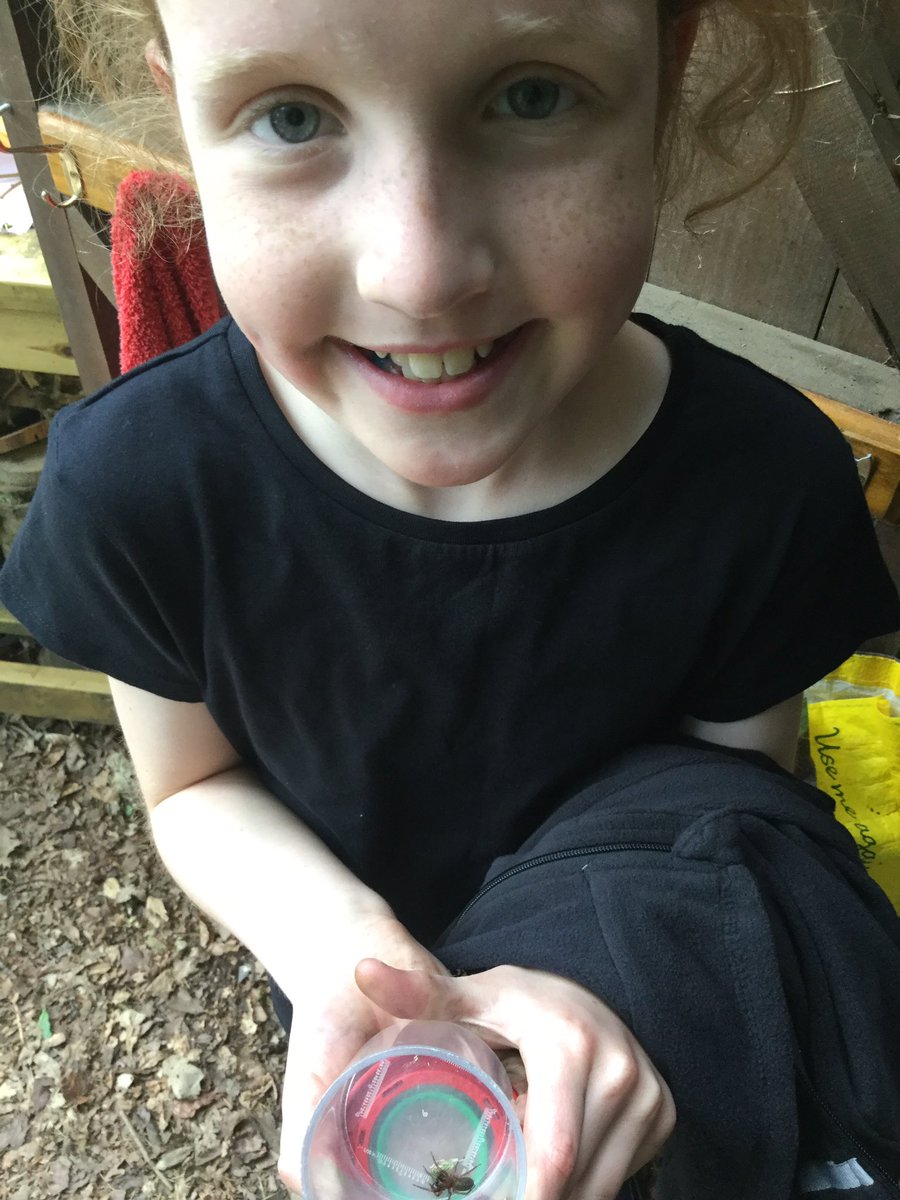 PipersForestSch's tweet image. Bugs were the theme of the Year 4 @PipersPrep Forest Day. Bug hunts, bug art and moving like a bug through an obstacle course. We also cooked lunch over the fire 🔥 and made fairy wands #pipersoutdoors #pipersfun