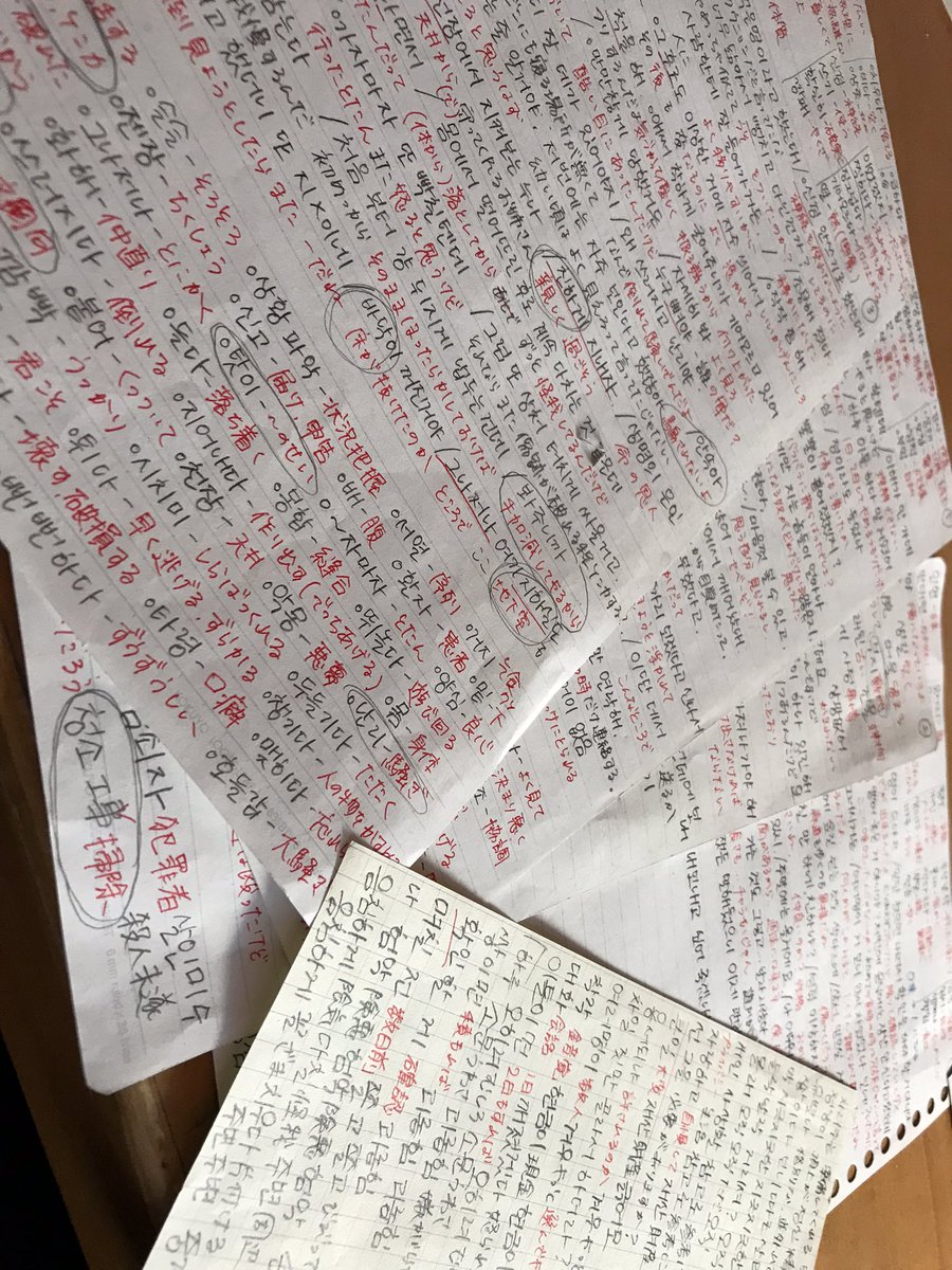 은영해준が好きすぎて漫画全部読みたかったんだけど和訳されてないもんだからめっっっちゃくちゃ大変で 休日に何時間も翻訳作業してたんです 元々韓国語はちょっと読めるレベルだったけど今思うと狂ってた 腐女子の 努力の賜物