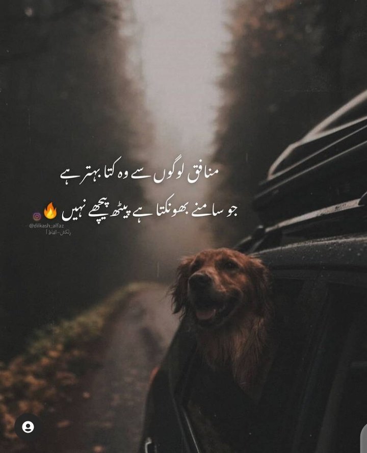 亗AFG؄HiraT๛ (@hirat786) on Twitter photo 