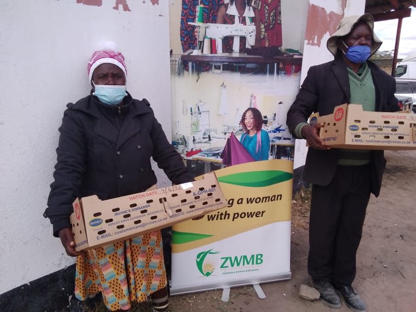 Womens Bank Zimbabwe tweet media