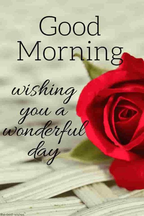 Chrissyhowell16's tweet photo. @Silviadomi22G @ranasilvia63 @LuluC222 @fevziates3 @djombic @ManishP78396947 @AbdulCabrel @RoadBrook @sitaravirgo @WALLI27 @GRAHAM15583070 @Silviadomi222g @Sandylisflor @Starla_Eileen @tripletsfan19 @Jetisky_F4F @leilasbsantos @Cassandra_Jully @FL_FLOWI @glenton123 @jet_new @elsufuen @Emre1karaman @SergioA60798547 @RoxanaElidaaa @virgyane @Genn_Scog @KatanaHugo @RosaTrunk @EdgarLagos13 @surdomudo1 @HildaLobaton @EnriqueAbantoD6 @insaurraldeh @ThomsenKaleu @SolyMar66091744 @SSscoop475 Buenas noches
Buenas días 
Buen miércoles 
Saludos cordiales 
#PRINCESE 
🌻@ranasilvia63 
🌻@EdgarLagos13 
🌻@EnriqueAbantoD6 
🌻@KatanaHugo 
🌻@glenton123 
🌻@ManishP78396947 
🌻@RosaTrunk 
🌻@leilasbsantos 
🌻@Chrissyhowell16 
🌻@elsufuen 
Good morning🌹🌹 https://t.co/7iZ8HoT0jn