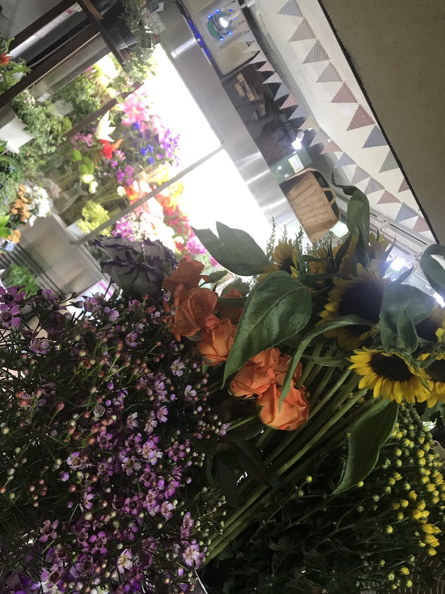 花屋ミドリノコトリ 9wwcfgsnb8pkons Twitter 花屋ミドリノコトリ 9wwcfgsnb8pkons Twitter
