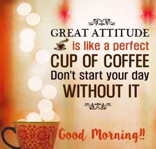 Good morning ☀️😎☕️