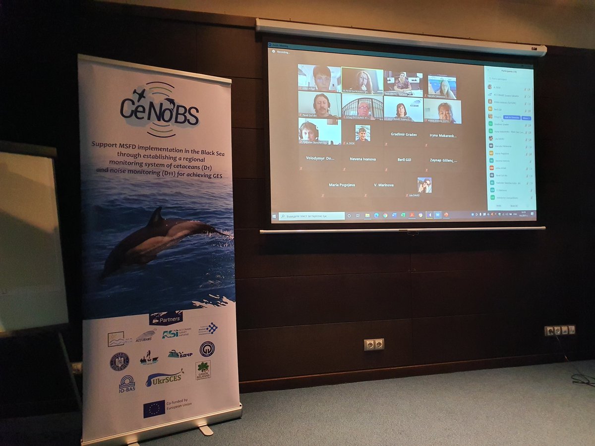 CeNoBS's tweet photo. Final workshops of CeNoBS project started! #Sofia #Bulgaria #results #dolphin&porpoises #conservation #MSFD #DgEnv https://t.co/abXOscMzkD