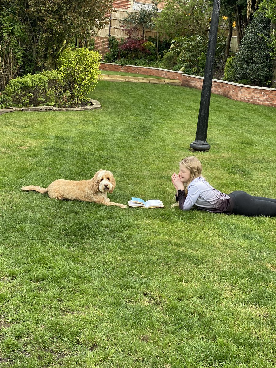 rachparker02's tweet photo. These two besties enjoying some time in the garden #VIPsummer
@PetsatHome https://t.co/HRcvAlr24u