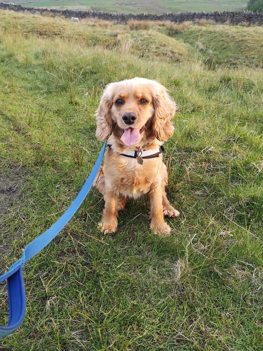 ChristineRas4's tweet photo. My beautiful layla ❤️ https://t.co/fMfmENGaOP