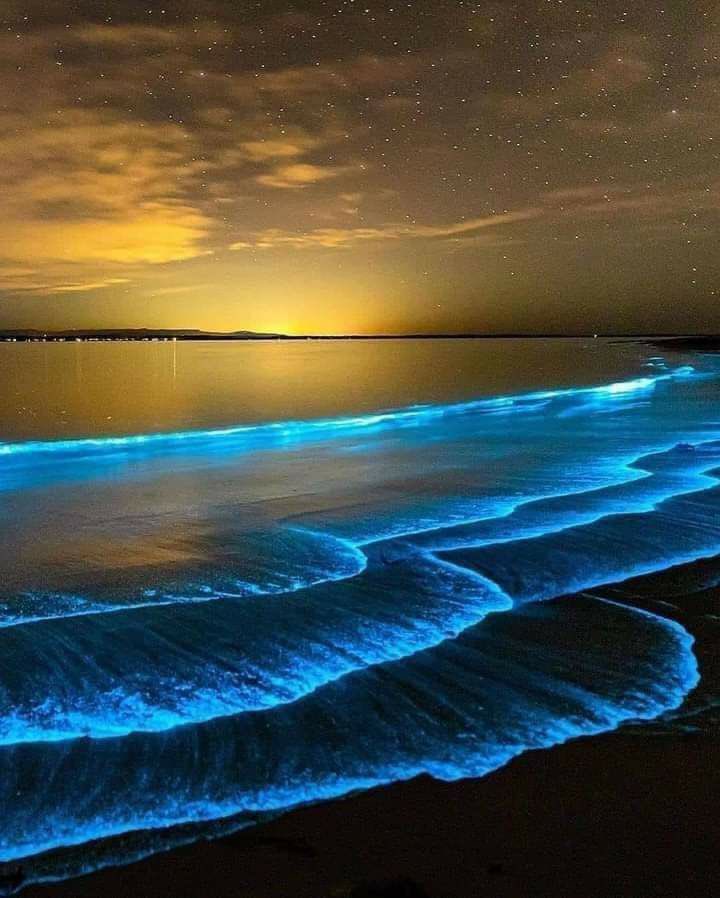 bsadr52's tweet photo. ⠀❁

ََ

َ⠀⠀
︎.

ــــــــــــــــــــــــــــــــــــــــــــــــــــــ

"
 
سامح وغض الطرف لو كان ماكان 
    عمر البحر ماضاق من لطمـة الموج 

ً
♩❋⸀  ㅤ⠀⠀

══════════════

  ♥️♩"    ♥️♩"    ♥️♩" 

٠
٠

🕊💌
 ❀✍️♩ 

َ
َ https://t.co/ELCtRx2bAG