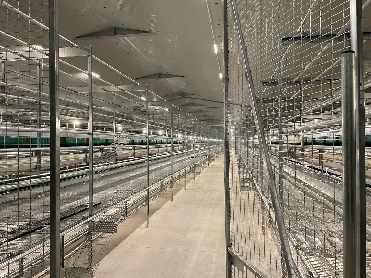 VencomaticGroup's tweet photo. Shining steel in Italy✨. Bolegg Gallery waiting for the new birds. #aviary #poultry #tableeggs #eggquality - https://t.co/mb4xHqrG8m https://t.co/YMjYxYNE7t