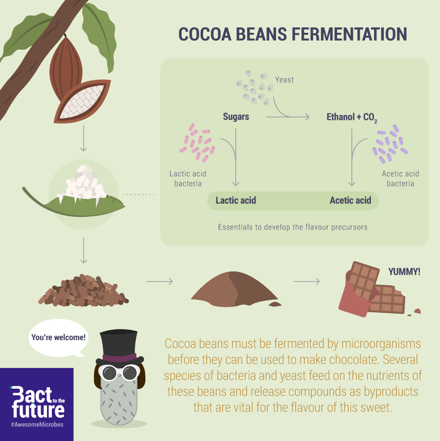 Bact To The Future tweet media