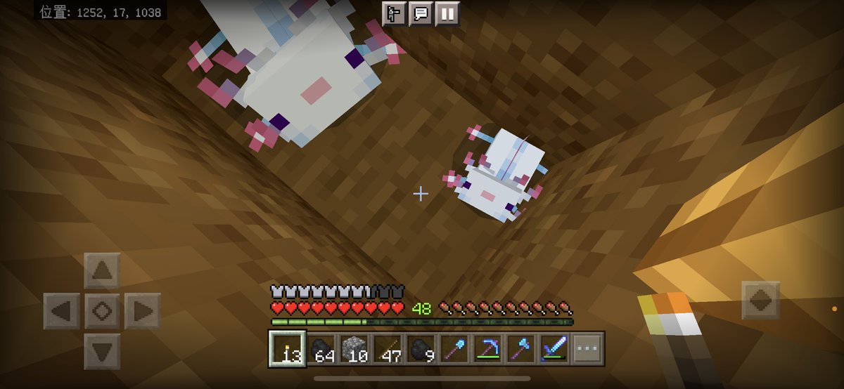 マイクラウーパールーパー