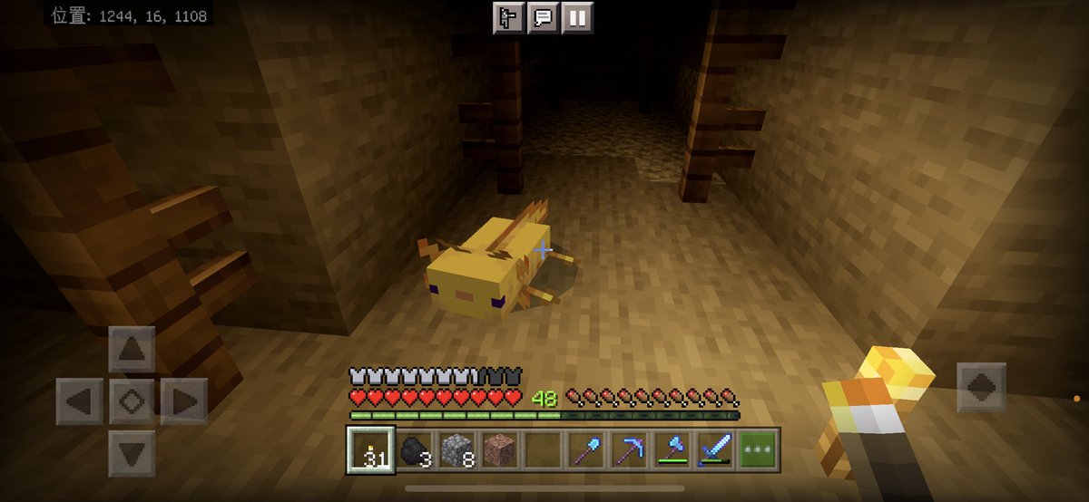 マイクラウーパールーパー