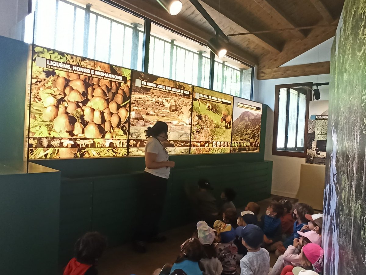 🧑‍🦱Era mainadèra des Escòles ZER dera Val d'Aran de P3, P4 e P5 apreneren fòrça contenguts sus eth nòste miei naturau en Centre d'Interpretacion dera Artiga de Lin gràcies ara biològa Sara Arjó. Dempús, explorèren eth parçan der entorn, adquirint coneishements pràctics.