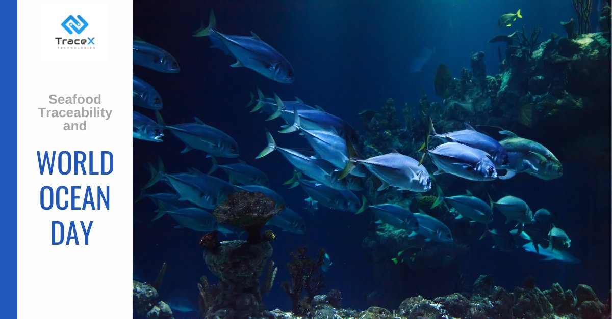 Are you aware of how fresh &amp; safe your seafood is? Was it ethically sourced? TraceX's value-chain agnostic solution can connect the dots of the seafood value chain, from harvest to retail. On this #WorldOceanDay head over to our website to know more.
hubs.ly/H0PVrtf0
