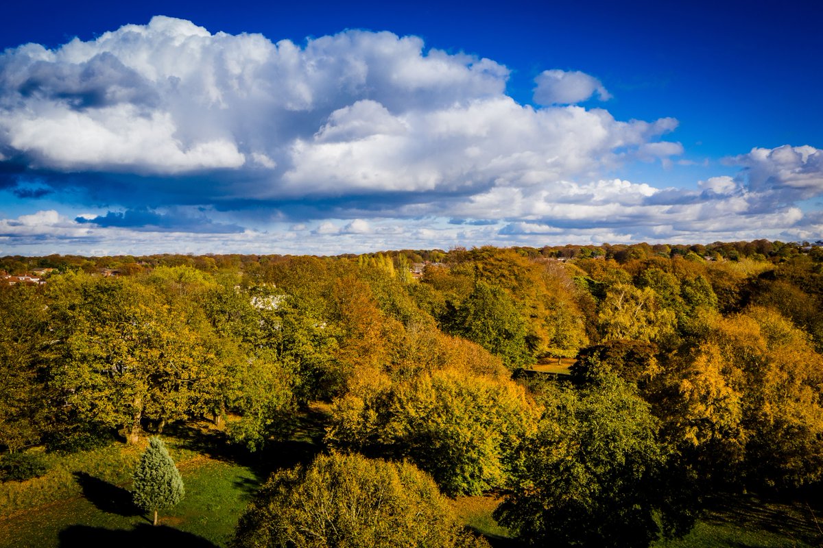 lpoolcouncil's tweet image. Our RRVs are out and about again this week for no-symptoms testing, 9am until 4pm as follows: 

🚶‍♀️8th - 10th June: Otterspool
🍃 8th - 13th June: Sefton Park
🌼11th - 13th June: Calderstones Park

#LetsGetTested @LiverpoolParks @DPH_MAshton