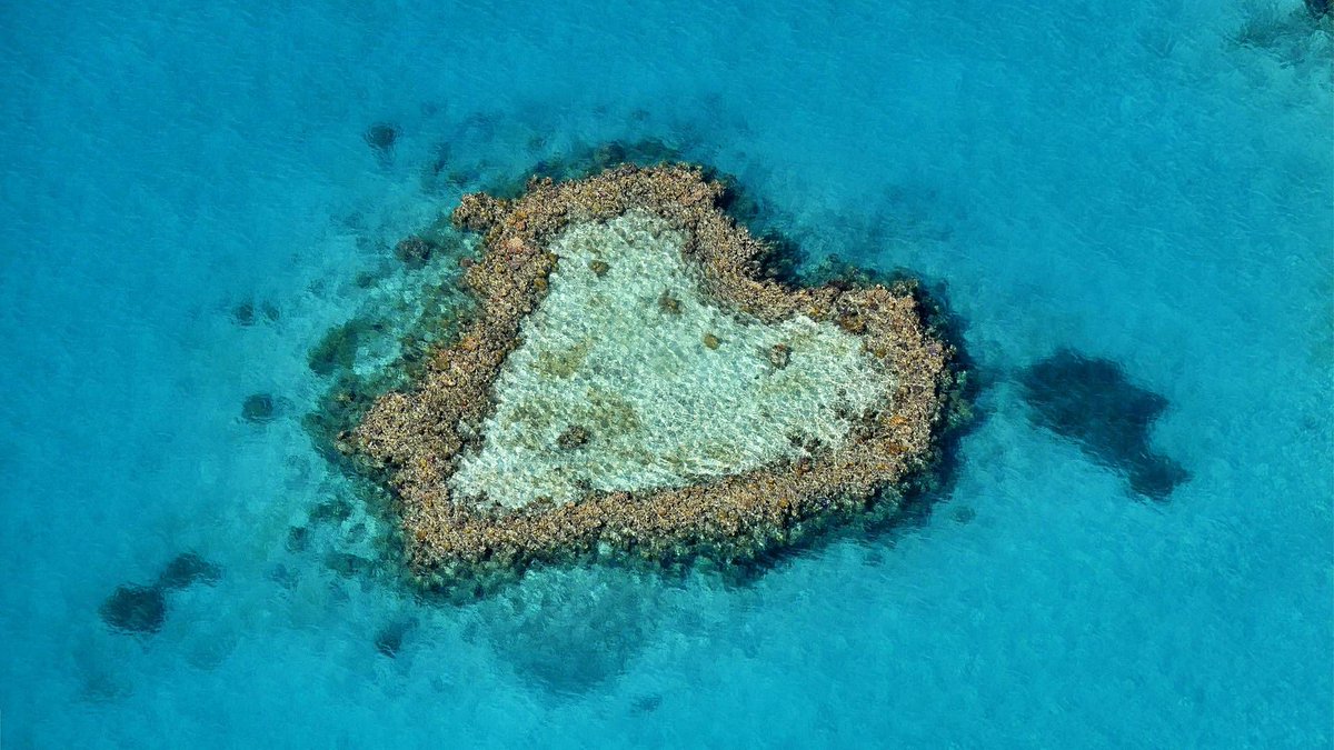 Fact 76: The Great Barrier Reef, which spans 1,429 miles along the coastline of Australia, is home to a reef in the shape of a heart — and it's very visible from above.

#TGfacts #teengoinggreen