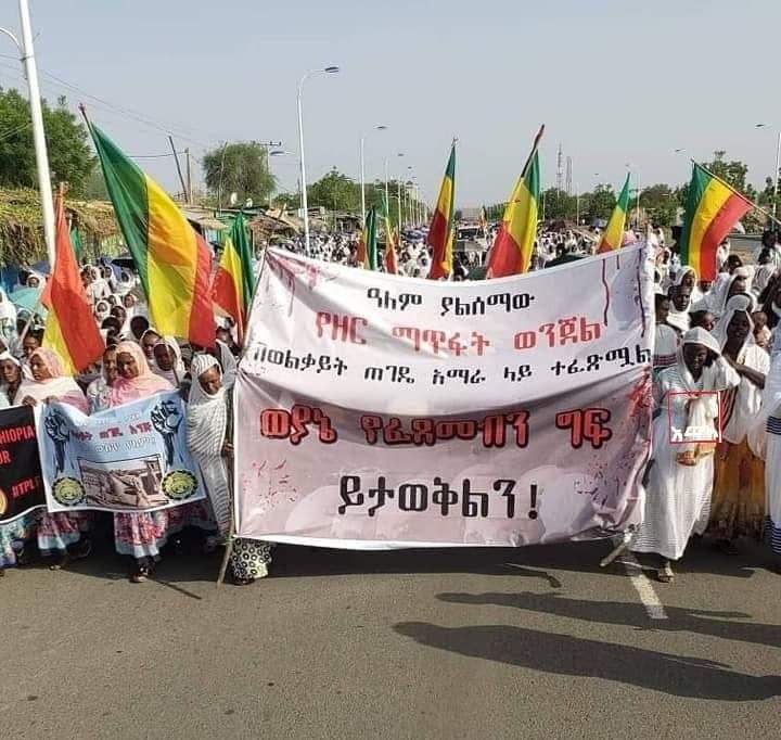 Achamyeleh1986's tweet photo. Amhara women of Wolkait, the forgotten souls &amp; survivors of TPLF’s over 40 years of genocide &amp; ethnic extermination whilst the world sits idly by, are on demonstration in N. Gondar, Humera, telling about TPLF's savagery &amp; the genocide that the world largely ignored for too long. https://t.co/oTDQc9i72R