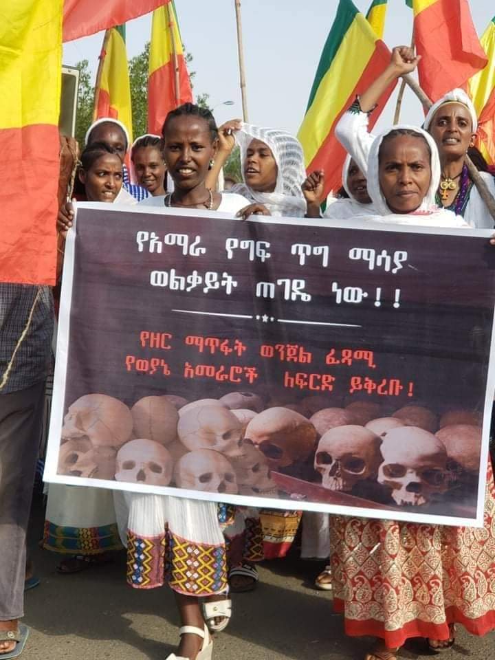 Achamyeleh1986's tweet photo. Amhara women of Wolkait, the forgotten souls &amp; survivors of TPLF’s over 40 years of genocide &amp; ethnic extermination whilst the world sits idly by, are on demonstration in N. Gondar, Humera, telling about TPLF's savagery &amp; the genocide that the world largely ignored for too long. https://t.co/oTDQc9i72R