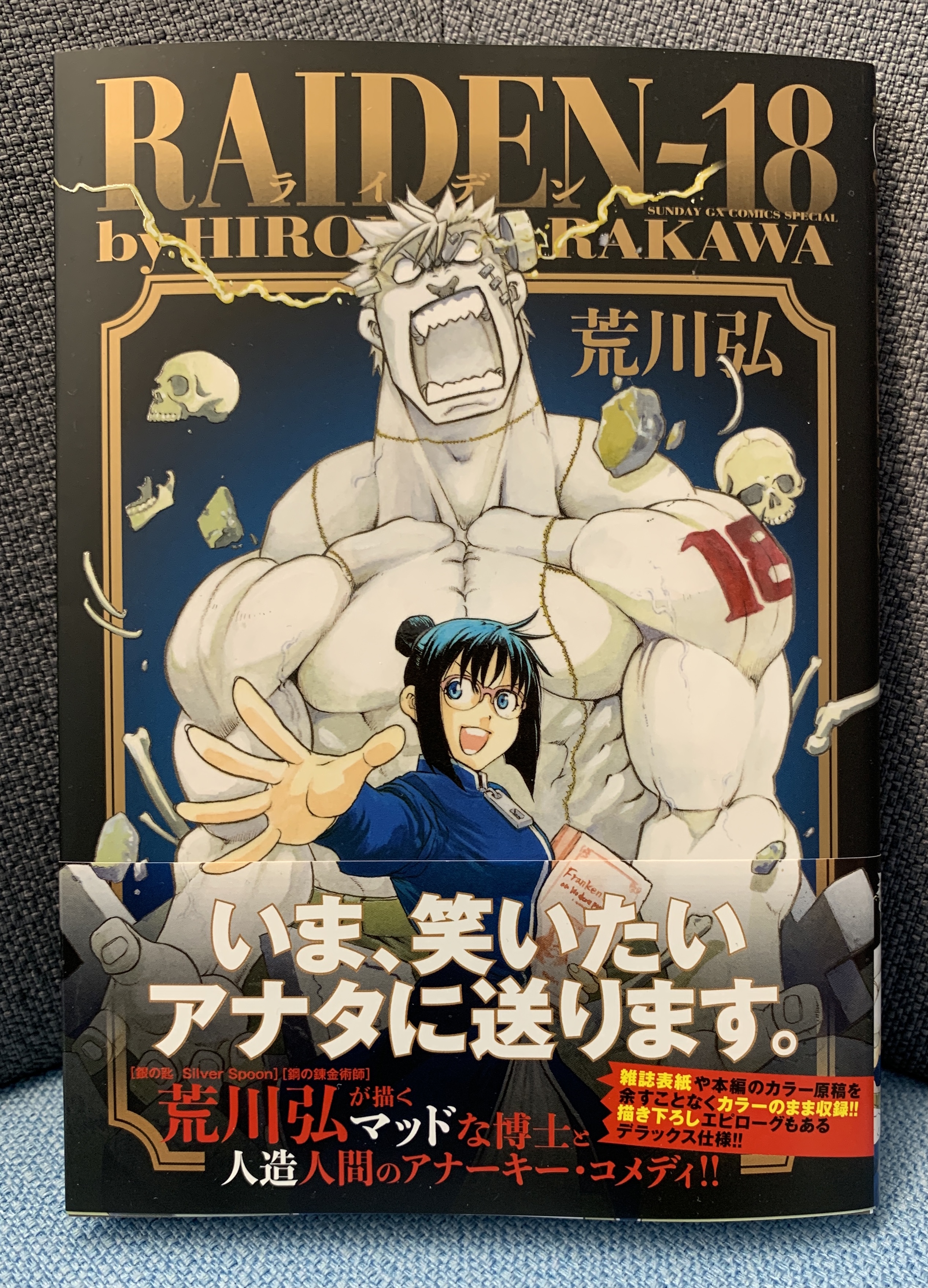 サンデーgx編集部 荒川弘氏の新刊 Raiden 18 発売中 雑誌掲載時の表紙イラストや本編カラー原稿を 余すことなくカラーのまま収録 単行本描き下ろしのエピローグもある豪華仕様 直筆サイン入り色紙のプレゼント企画も 詳細は単行本の帯に