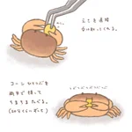 見てるだけで癒される!大事そうに両手でコーンを持って食べるサワガニが可愛すぎる!