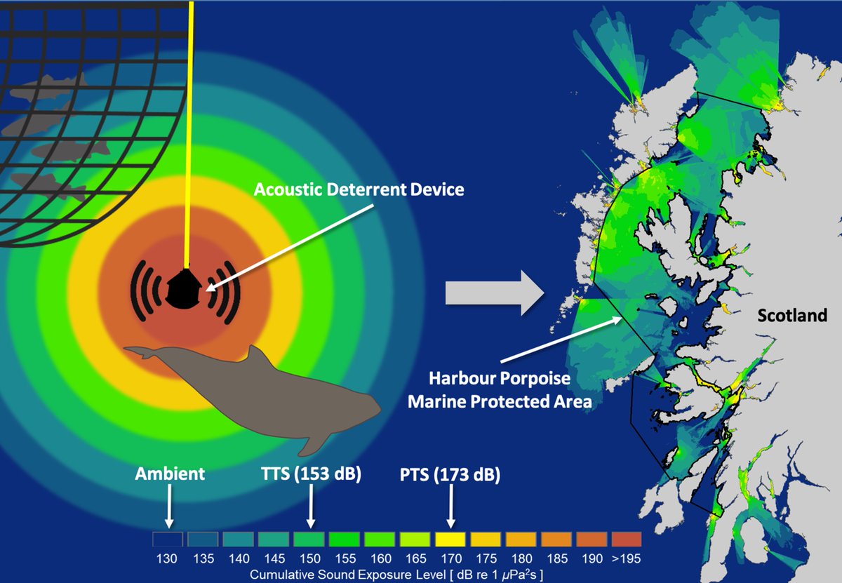 Dr Charlotte Findlay tweet media