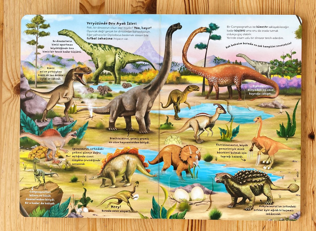 Ne Sorsan Bilir Minik serisinin yeni üyesi: Benim İlk Dinozorlar Kitabım 🦕

3 yaş ve üzeri için önerdiğimiz bu kitap biz yetişkinlerin bile her sayfasında saatler geçirebileceği ilginç bilgilerle dolu 🦖