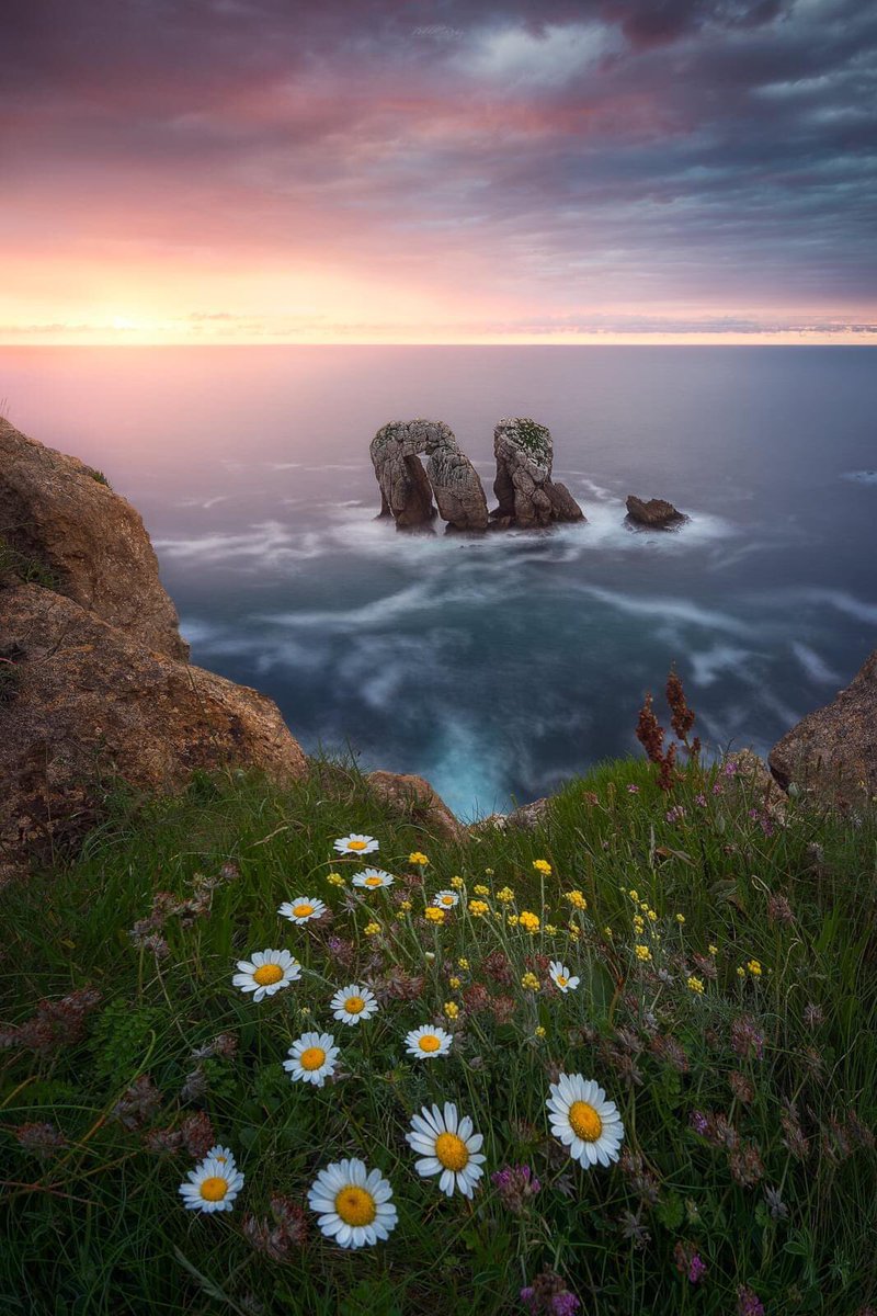 Pablo Ruiz Garcia tweet media