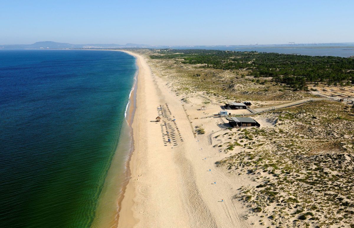 ZEROasts's tweet photo. Conheça as 53 praias ZERO poluição de 2021!
#praias #poluicao #ZERO
https://t.co/ZmPMBfhcv6 https://t.co/EJMNFiofnB