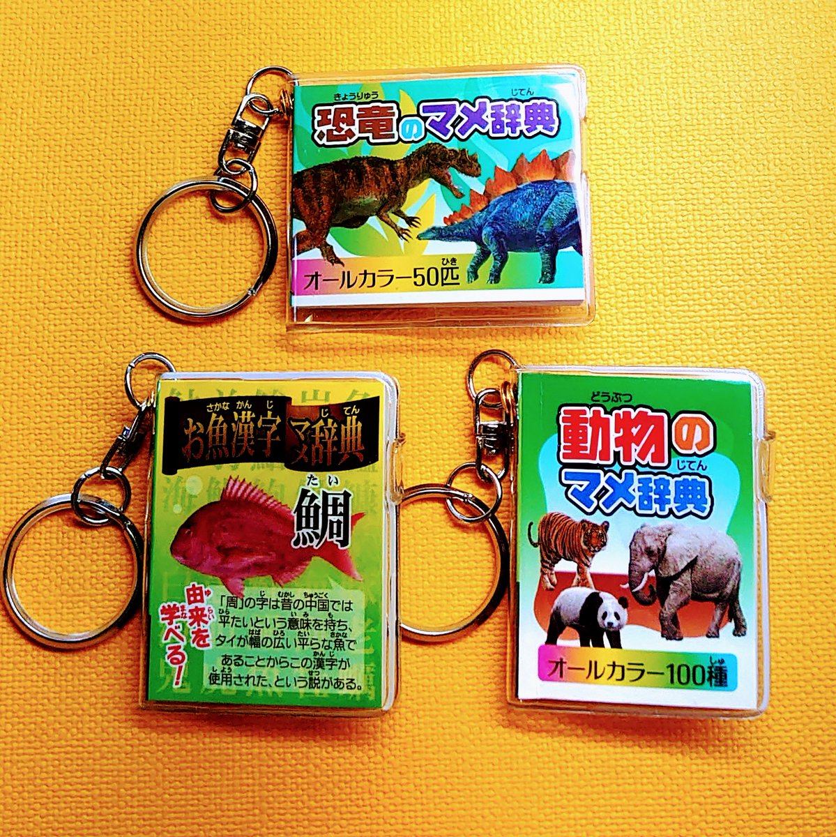 تويتر メイドイントーカイ على تويتر メイドイントーカイ御在所店 こんなちっちゃな本に 動物や魚 恐竜の知りたい知識がつまってる かわいらしいサイズでこども達も大喜び 大人もついじっくりページをめくってしまうこと間違いなし しかもオールカラーなんです تويتر メイドイントーカイ على تويتر メイドイントーカイ御在所店 こんなちっちゃな本に 動物や魚 恐竜の知りたい知識がつまってる かわいらしいサイズでこども達も大喜び 大人もついじっくりページをめくってしまうこと間違いなし しかもオールカラーなんです