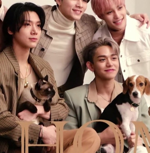 Luten2010's tweet photo. 🐱🐶 https://t.co/b2LjFxp2K5