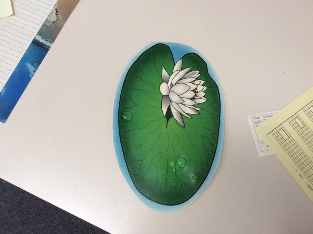 GSPSRussia's tweet photo. This morning in @GSPSRussia and @GSPSIndia, we had a very strange occurrence happen in year 5! Our classrooms were covered in lily pads! It’s all to do with our new text ‘Tuesday’. @GwladysStPrim #GSPSREADING https://t.co/tJurN7MVWI