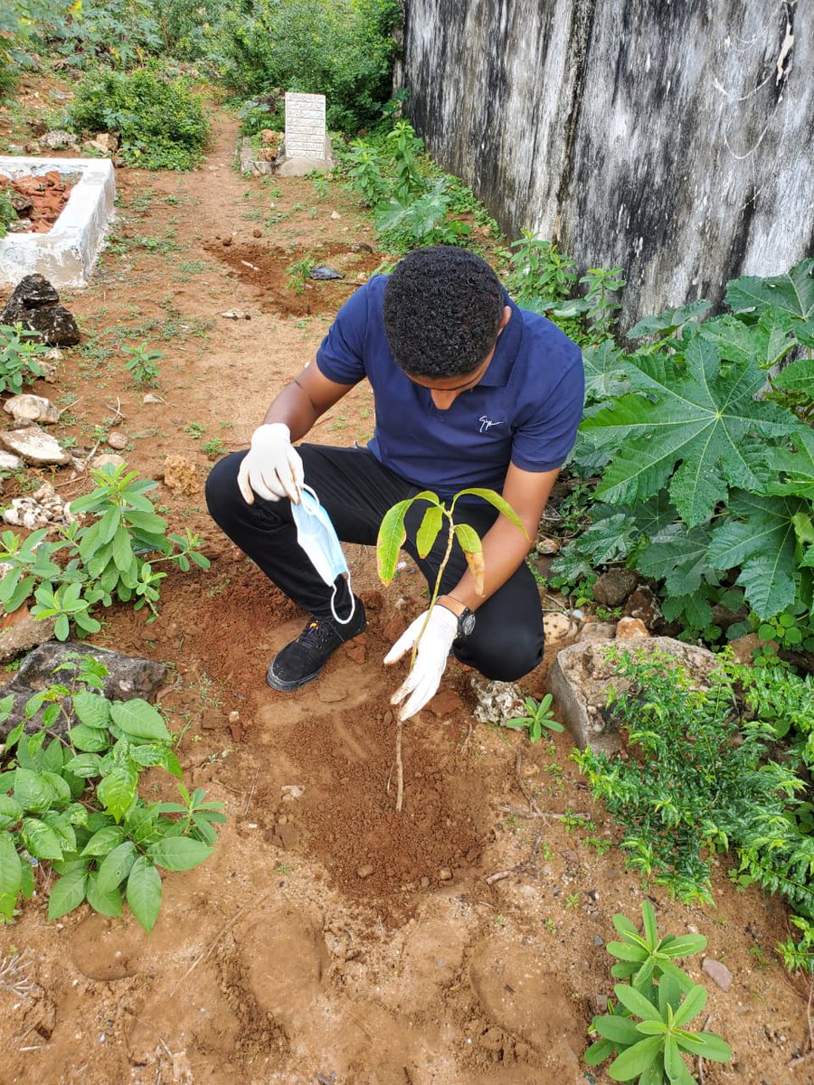 Our Environment our responsibility, we manage to plant over 1000 seedlings at Langoni Cemetery in Lamu, after clean-up, by the help of our team <a href="/LamuEnvironment/">Lamu Environmental Organisation</a> in partnership with <a href="/PACJA1/">PACJA</a> on our noble campaign on Climate Action &amp; Justice.
#ClimateAction #GenerationRestoration