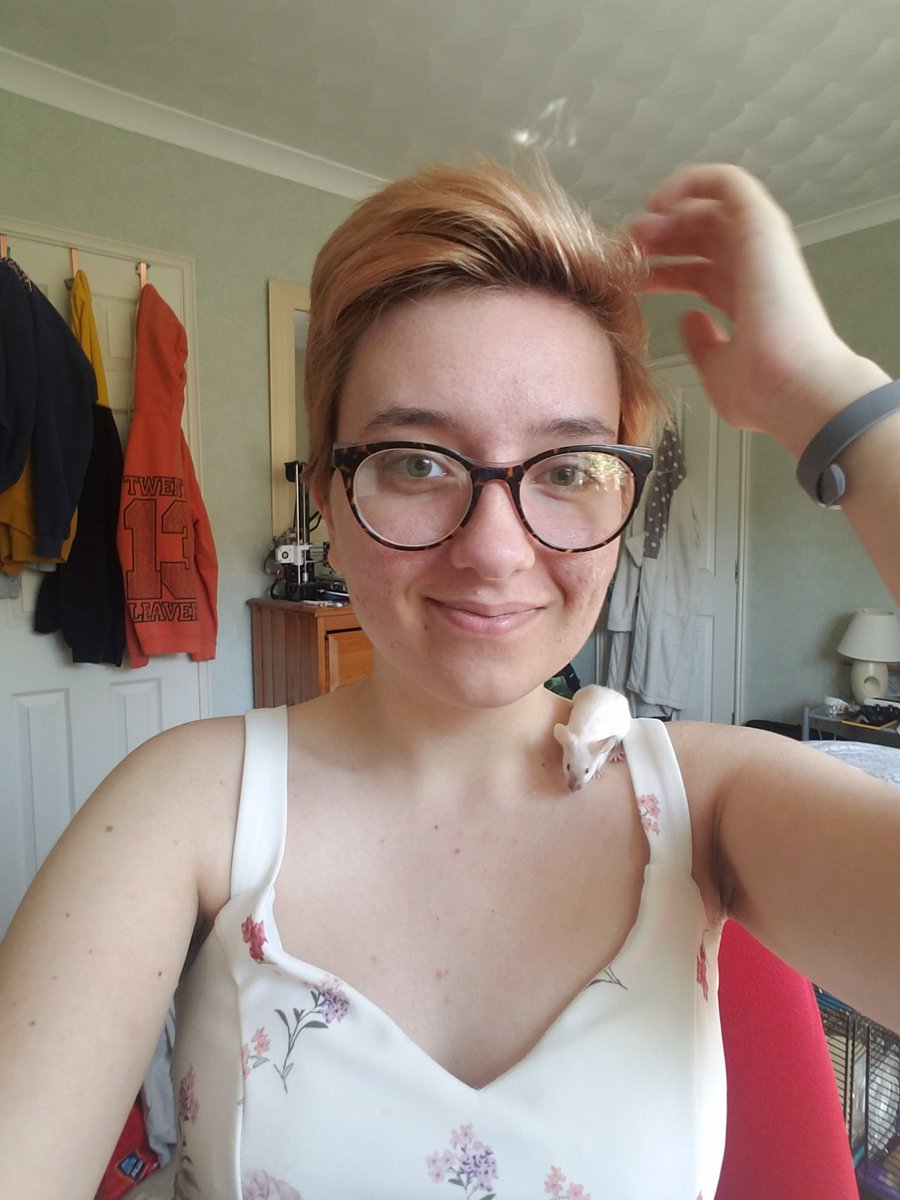 ElizabethSiddle's tweet photo. Eagle-eyed attendees of the Aries-Cefas python course may have spotted an extra attendee get some camera time during our NumPy session. Meet Rosemary, this mornings extra member! #petsbehavingbadly #siamesemouse https://t.co/Mvo5LUNIIo