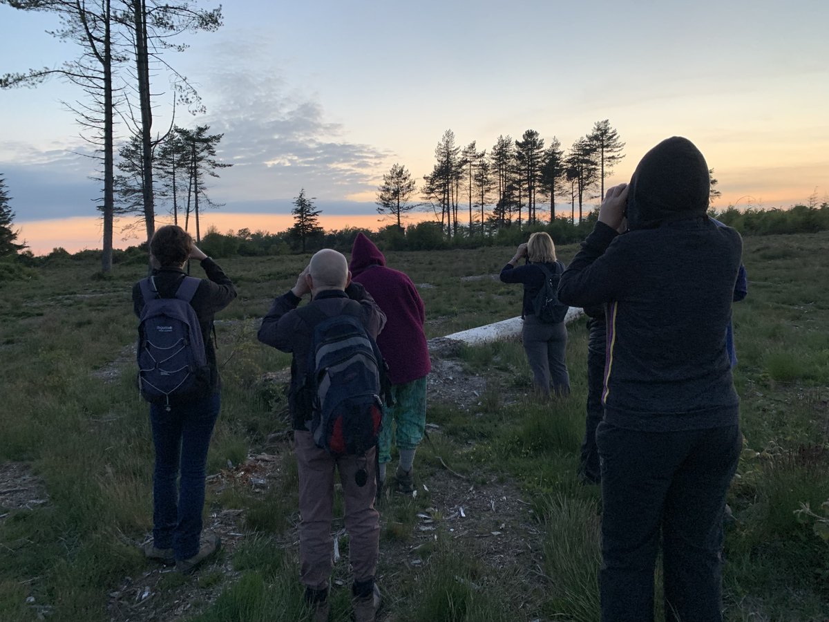 Devon Wildlife Tours tweet media