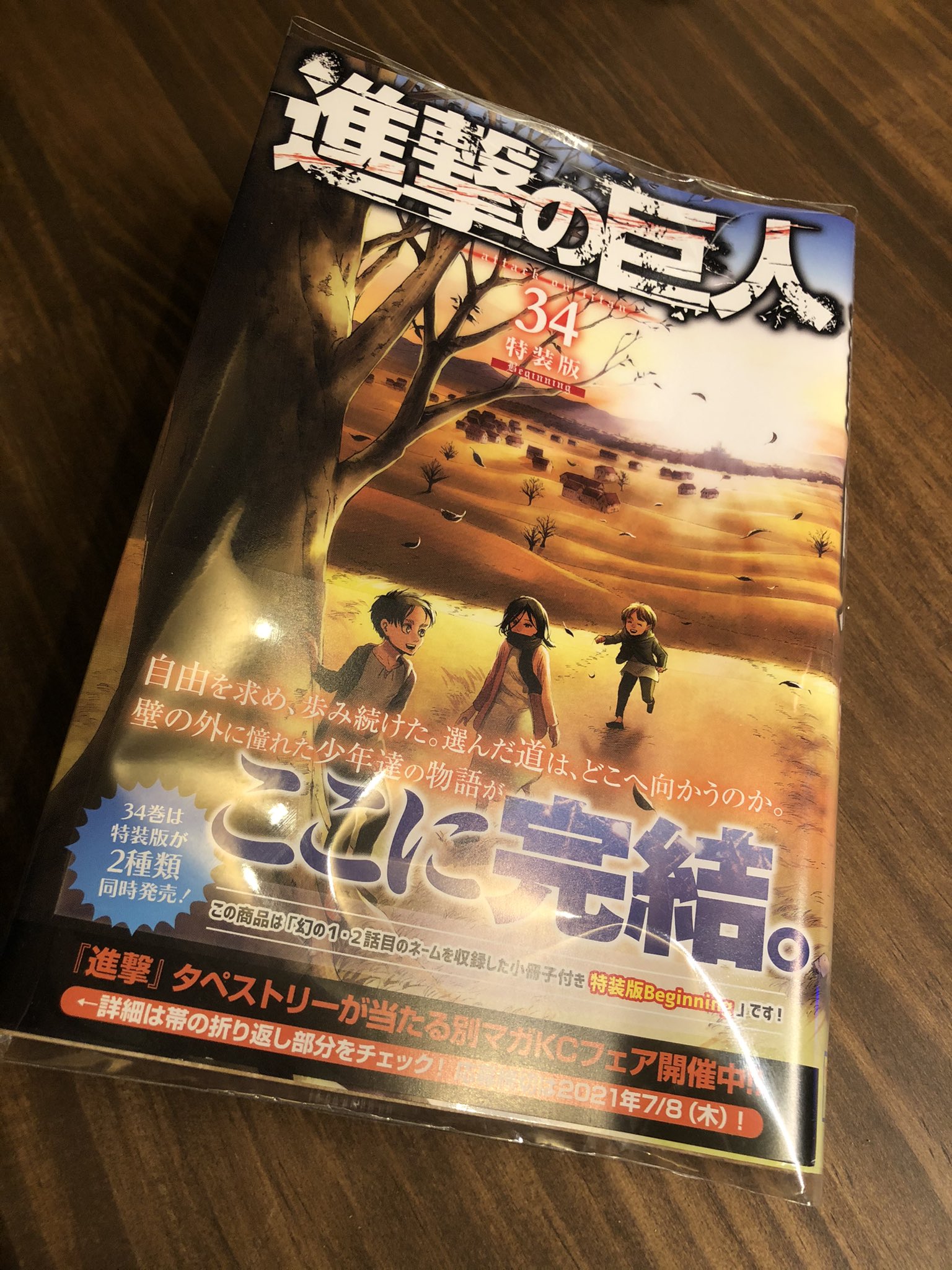 のじっちtv 進撃の巨人34巻読みました セリフの修正 加筆によってよりわかりやすくなってました エレンお前 漢だな 最後のあの場面 もしかしてループ ユミルが巨人の力を得るあの木にも見えた あとジャンとミカサ結婚してた 俺の勘違いかな