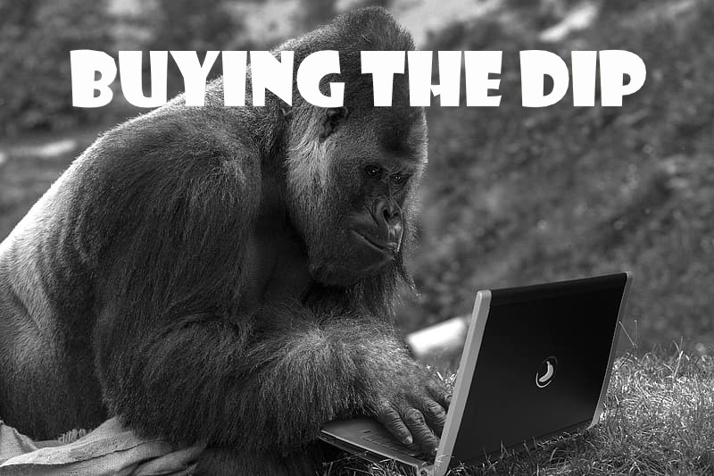 Fredrik74849636's tweet photo. Buying the dip. $AMC #AMC #Dip2Rip #AMCSTRONG #AMCARMY #AMCSqueeze https://t.co/KfN8dI6ZWm