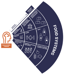 "Today’s externalities are tomorrow’s risks and day after tomorrow’s losses. 

To enable a #FoodSystemTransformation we need to reprogram our economic systems to recognize measure and value externalities" 

<a href="/PavanSukhdev/">Pavan Sukhdev</a> #NaturePositiveFood #TrueValueFood

teebweb.org/our-work/agrif…