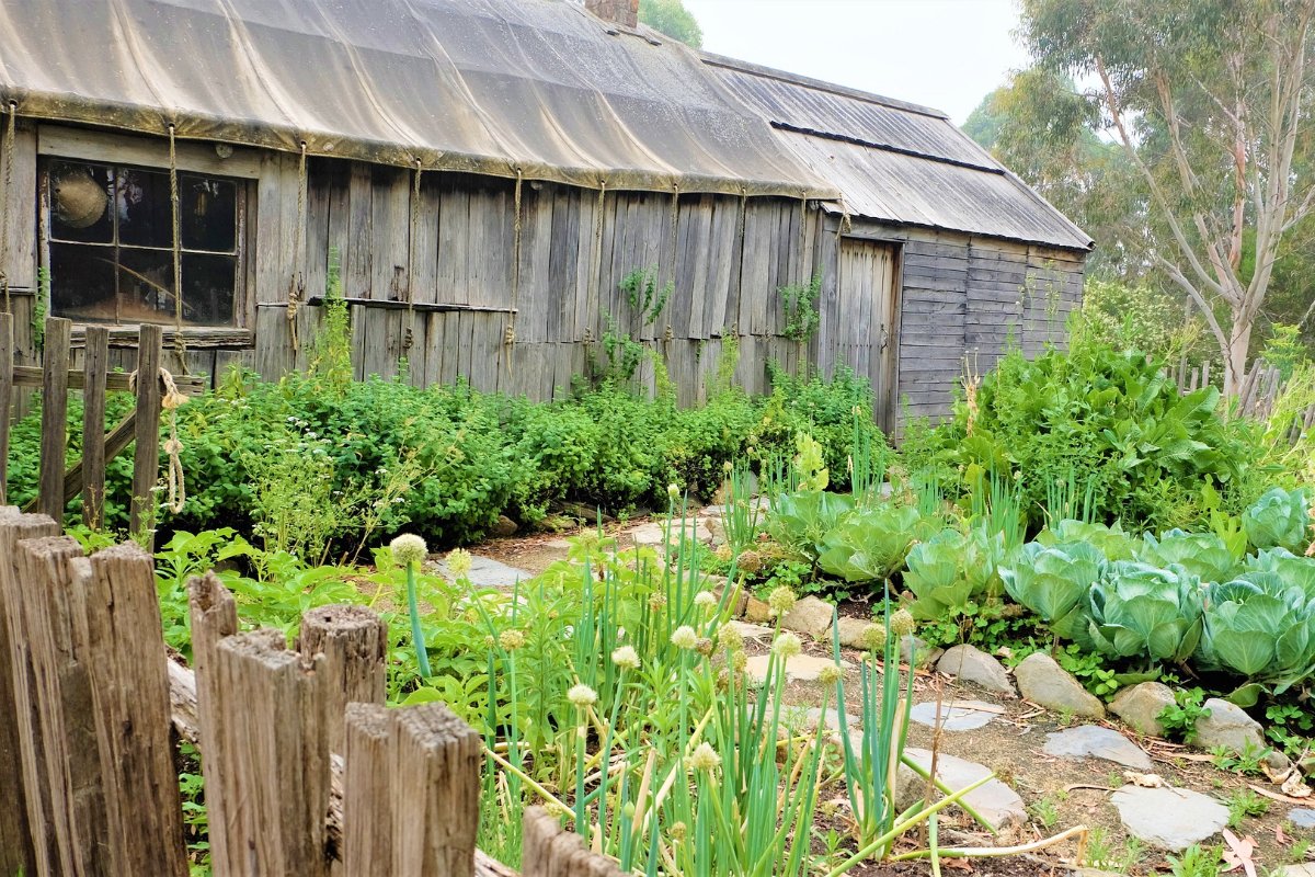 Denk na over je kropje sla hallodordrecht.nl/nieuws/bericht…
#Dordrecht