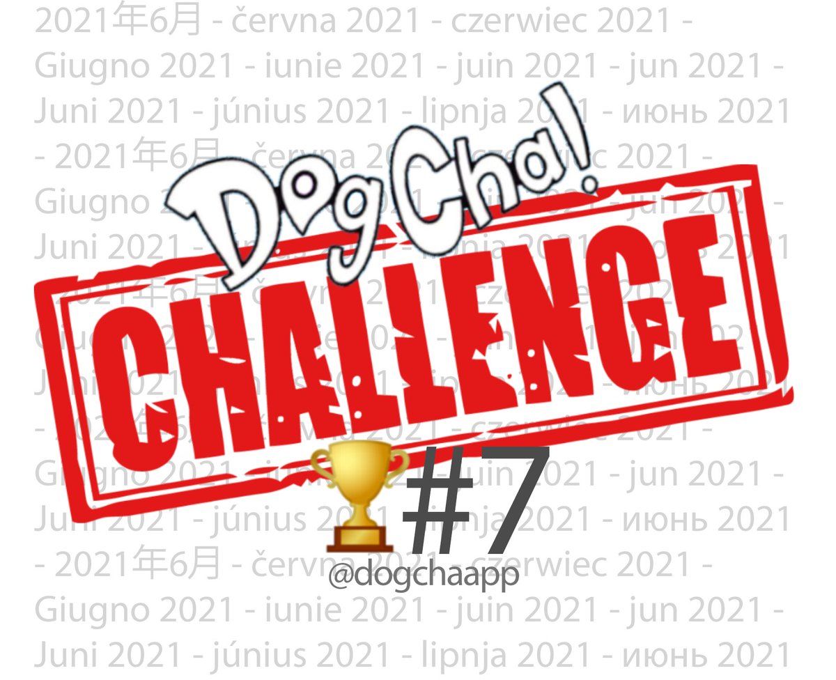DogChaApp's tweet photo. June monthly challenge🏆Upload a video on Facebook or on DogCha! showing us lesson 7 from the "DogchaClass" series along with the text "Lesson 7 complete! When teaching to sit @dogchaapp #dogcha" At the end of the month, we will select a winner. Good luck! #dogs #dogchachallenge https://t.co/bPdLBuxdYb