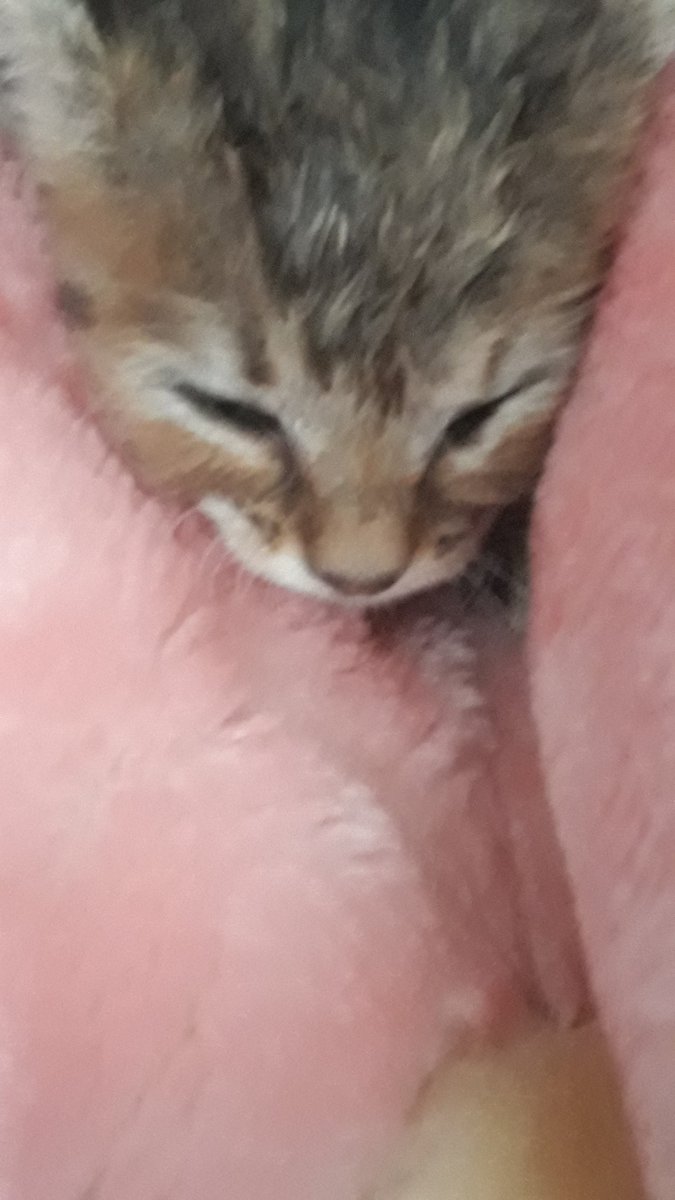 OFF OFF COK ASIRI TATLI BEBEKKK