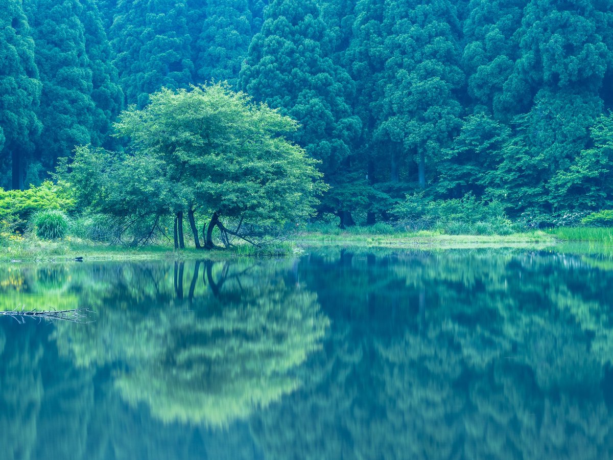 Lukewang Xxaccp Twitter