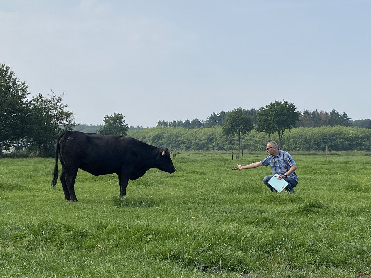 Raaf & Wolf tweet media