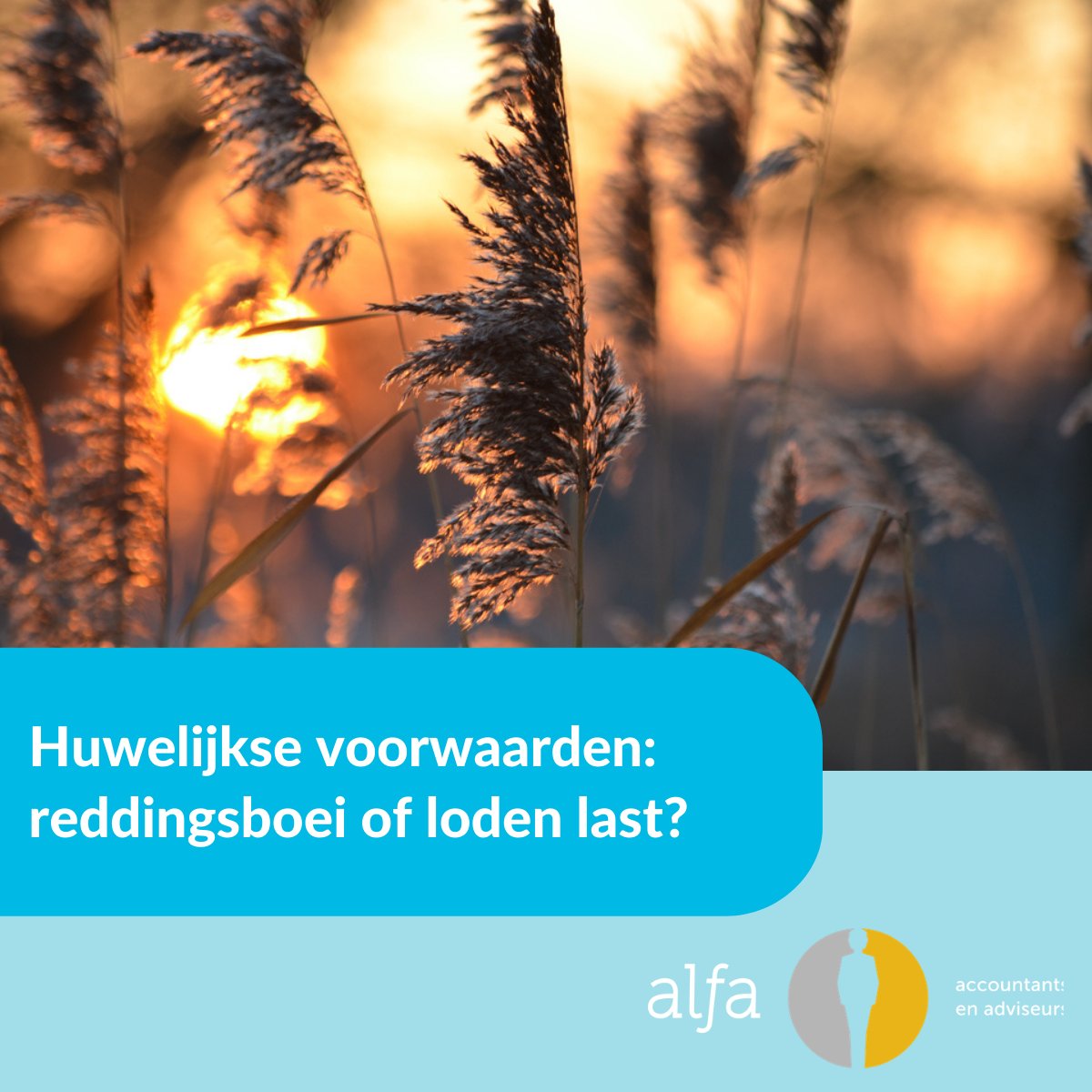 Naast overlijden zijn er meer risico's voor ondernemers in privé sfeer. Namelijk echtscheiding. Zijn de zaken voor het voortbestaan van de onderneming goed geregeld? alfa.nl/barneveld/actu…