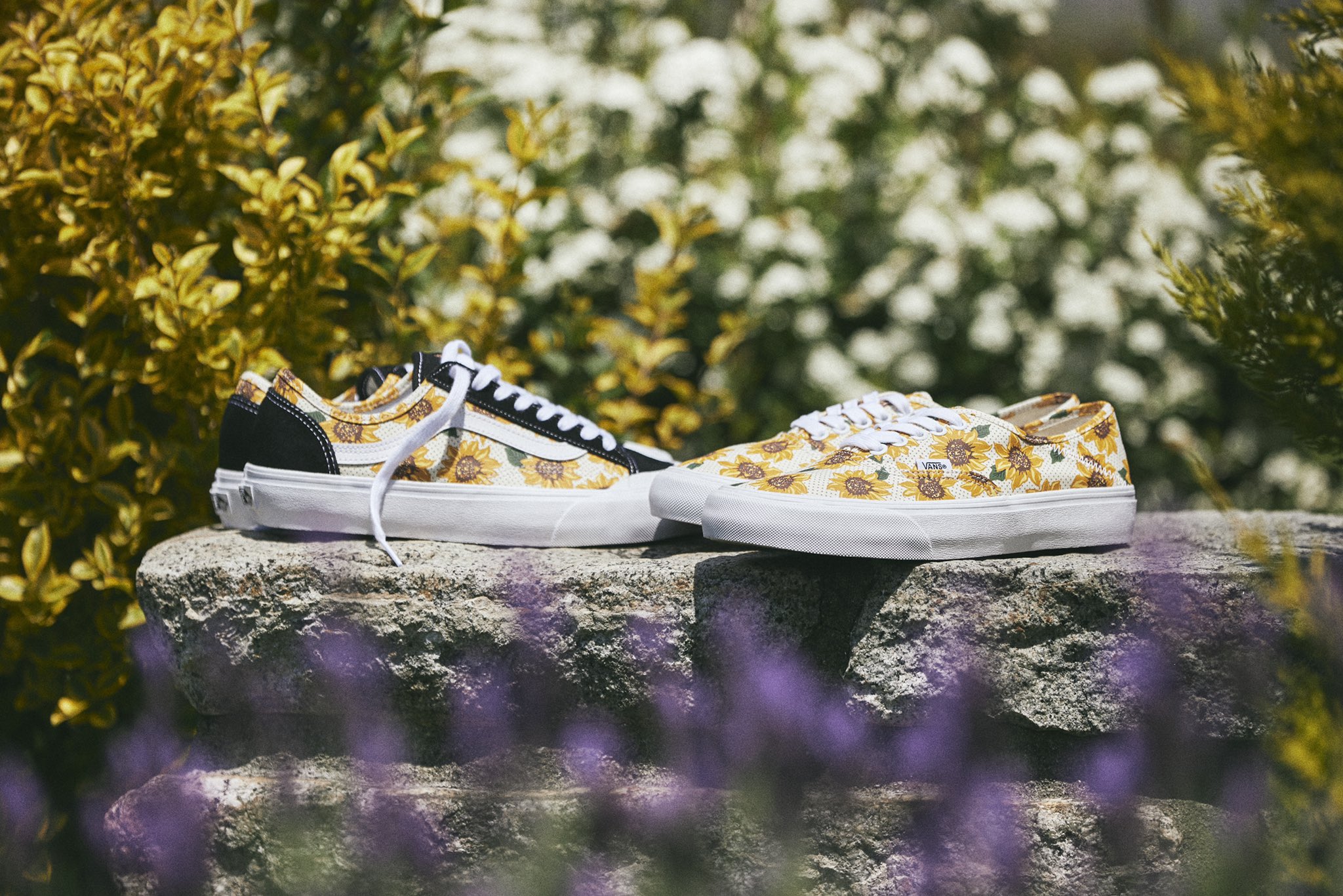 VANS_JP on X: 